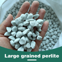 Perlite horticole sans poussière pour la culture de fleurs, la plantation de succulentes et d'orchidées, l'expansion des semis et l'isolation – Perles à gros grains