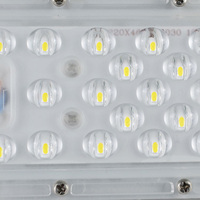 Module de lampe de paysage d'éclairage extérieur blanc 50W lampadaire LED 50W