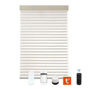 Excellent Quality Indoor Smart WiFi Electric Window Double Layer Motorized Zebra Roller Blinds Remote Control Set Tuya