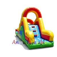 Un petit toboggan aquatique gonflable convient à la location pour une utilisation dans la cour d'une maison.