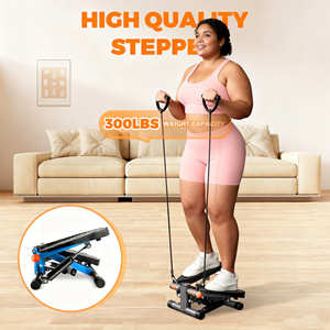 Mini Workout cầu thang bước tập thể dục đi bộ máy Twist Stepper Máy phòng tập thể dục để sử dụng nhà - Product Image 3