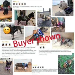 Harnes anjing personalisasi Terbaik dengan Layanan tambalan nama rompi anjing tidak ditarik tanpa kerah untuk anjing kustom hewan peliharaan kecil sedang - Product Image 4