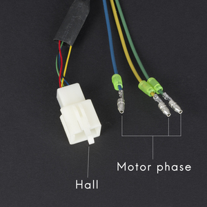 มอเตอร์ล้อสกู๊ตเตอร์ไฟฟ้าขนาด 8 นิ้ว 24V 36V 48V 350W 500W พร้อมดิสก์เบรกและดรัมเบรก - Product Image 4
