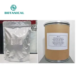 Wholesale Price Ginger Root Extract Powder Zingiber Officinale 5%-40% Gingerols
