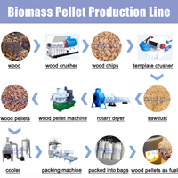 Nouvelle ligne de production de granulés de biomasse, équipement de fabrication de granulés à partir de sciure de bois et de copeaux de bois, machine à fabriquer des granulés