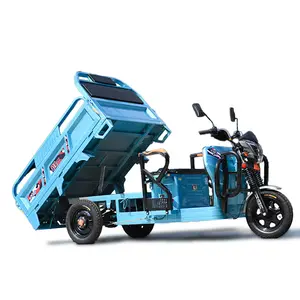 3 Wheel Motorcycle Tuk Tuk Petrol Bike CL Delivery Cargo Transport Pickup Express Shipment Tricycles Three-wheeled Electric Car