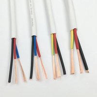 Cable Flexible de Cobre RVV con Aislamiento XLPE de 2/3/4/5 Núcleos para Uso Industrial, Construcción y Electrodomésticos