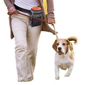 Free Sample Lightweight Fashion Waterproof Waist Pack Pet <b>Dog</b> <b>Treat</b> <b>Pouch</b> Bag with Drawstring Inner - Product Image 1