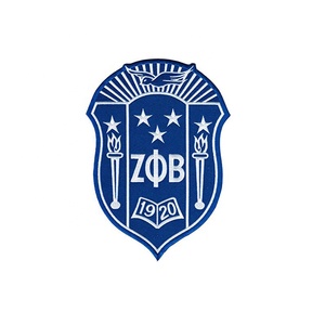 <span class=keywords><strong>2025</strong></span> New Arrival deltaa Sigma Theta các bản vá lỗi dệt thêu logo các bản vá lỗi an ninh thêu vá huy hiệu Phù Hiệu cho quần áo - Product Image 5