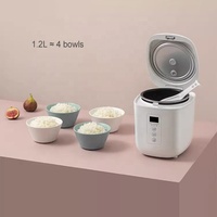 Mini cuiseur à riz 1.2l revêtement antiadhésif Pot intérieur Portable préréglé garder au chaud minuterie bouillie petite taille capacité cuiseur à riz Mini