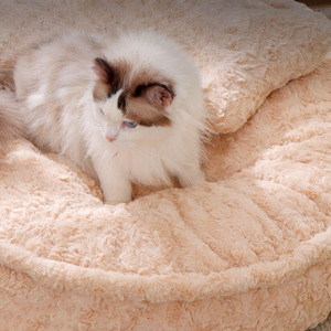 Custom Round Faux Fur Pet Winter Cake Bed Round Plush Foam Durable Comfortable Calming Bed with Bone <b>Pillow</b> Cute <b>Dog</b> Cat Sofa - Product Image 2