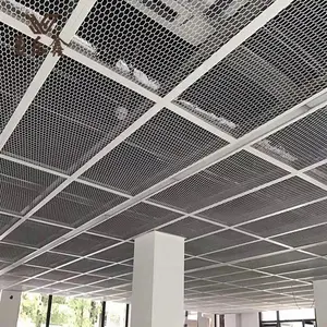 Mesh Zeefpanelen Gegalvaniseerd Staal Roestvrij Staal Aluminium Geperforeerde Metalen Etsgaas Cilinderfilters Nederlands Weave