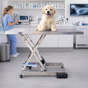 Tavolo Operatorio Veterinario Elettrico Sollevabile in Acciaio Inossidabile per Cliniche Animali - Product Image 2