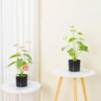 Fleurs de Rose Artificielles Bonsaï Fleur Artificielle en Pot Ornement Intérieur Créatif Fleurs et Plantes Artificielles en Pot