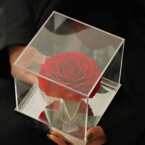 Vendita calda regalo acrilico scatola stabilizzata rosa lunga durata conservato secchi per sempre Rose eterne in cupola - Product Image 1