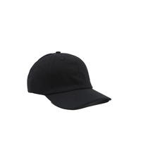 Aanpasbare Logo Baseballpet Zachte Katoenen Duckbill Sportieve Ouder-Kind Stijl Met Luipaard Dot Voor Volwassenen Kinderen