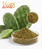 Fournisseur de poudre d'extrait de cactus naturel de haute qualité