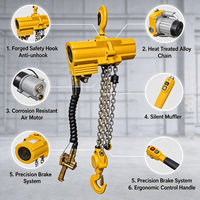 Palans pneumatiques à chaîne de précision industrielle, capacité 500 kg, vitesse variable, pour la manutention de matériaux fragiles sur ligne d'assemblage