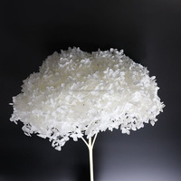 Boule de fleurs d'hortensia naturelles préservées Anna, couleur blanche populaire, pour décoration de mariage, fournitures de fête, centre de table floral