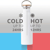 Botol Air Stainless Steel 25oz Dinding Ganda Terisolasi untuk Perjalanan, Gym, Olahraga, Termos dengan Tutup Bambu