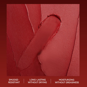 Rouge à lèvres mat effet brume douce OEM Marque Privée, Velours Blanc Hydratant, <span class=keywords><strong>Maquillage</strong></span> Améliorant le <span class=keywords><strong>Teint</strong></span>, Guangdong 3.5g - Product Image 4