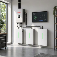 Batterie LiFePO4 à semi-conducteurs RW-G10.6 Prix Usine Série HomeSpring Batterie Solaire Domestique LV Stockage d'Énergie Hybride PV pour la Maison