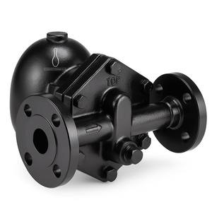 Válvula de Ventilación Termostática Interna BFS5F de Montaje Horizontal, Acero al Carbono DIN EN 17245 1.0619, Flotador de Bola y Trampa de Vapor Termostática - Product Image 1