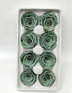 Têtes de fleurs de rose naturelles préservées, écologiques, vertes, fraîches, 4-5 cm, longue durée, pour la fête des mères, la Saint-Valentin - Product Image 4