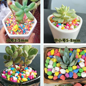Piccole pietre di ciottoli di vetro colorate personalizzate in fabbrica <span class=keywords><strong>per</strong></span> riempitivi traspiranti <span class=keywords><strong>piante</strong></span> succulente arredamento <span class=keywords><strong>piante</strong></span> succulente in vaso - Product Image 5