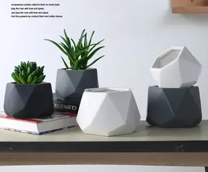 Dekorasi Rumah Geometris Keramik Bunga Succulent Planter Pot