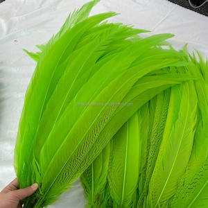 Plumas <span class=keywords><strong>de</strong></span> Faisán Plateadas Teñidas al por Mayor <span class=keywords><strong>de</strong></span> 24-26 Pulgadas (60-65 cm), Plumas <span class=keywords><strong>de</strong></span> Faisán Plateadas Verdes Largas en <span class=keywords><strong>Venta</strong></span> - Product Image 4