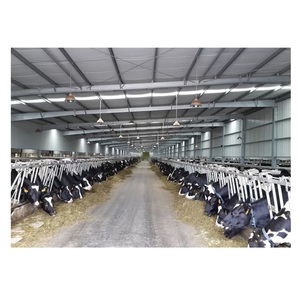 Cobertizo de vaca de acero ligero prefabricado de China para edificios de estructura de acero de diseño Industrial de bajo costo de Casa de <span class=keywords><strong>apartamentos</strong></span> de granja - Product Image 1