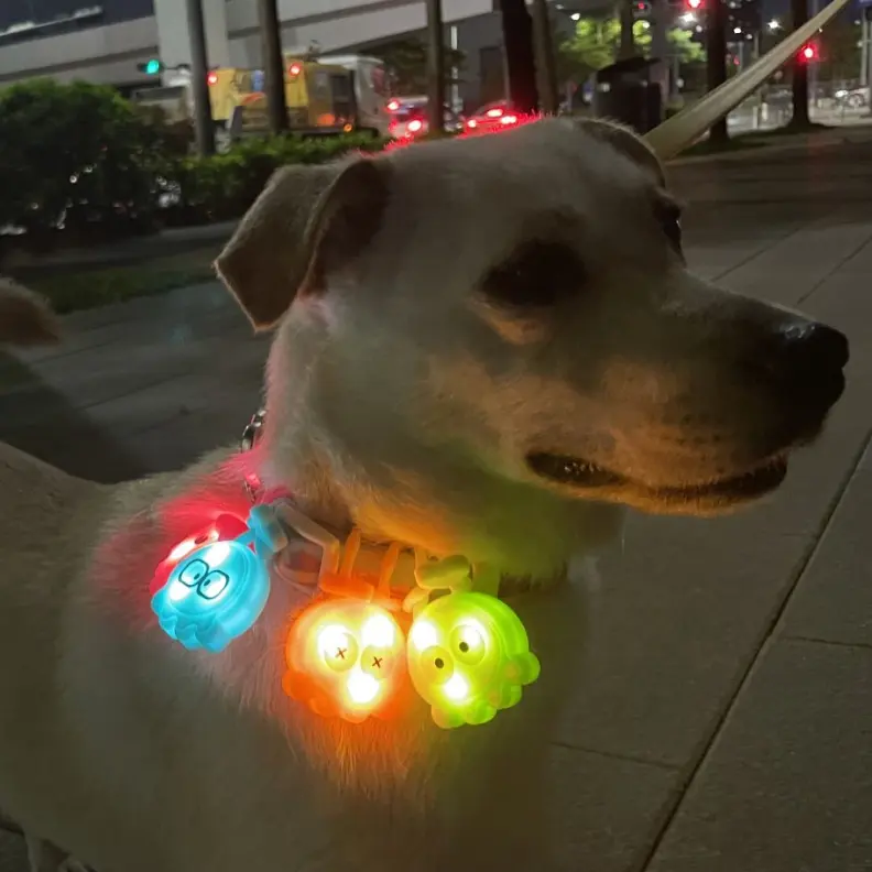 Laroo hotsale pet malzemeleri silikon LED köpek tasması kolye pilli Led ışık Up işık gece güvenlik yanıp sönen Glow köpek tasması