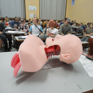 Darhmmy tiên tiến <span class=keywords><strong>PVC</strong></span> Đặt nội khí quản đào tạo mô hình manikin cho y tế trường học và bệnh viện đường hàng không quản lý mô phỏng - Product Image 3