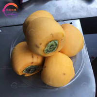 Industriële citrusvruchten schilmachine van roestvrij staal SUS304 voor sinaasappels, citroenen, passievruchten en appels.