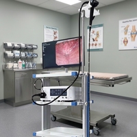 OSCAT EX-59 Ensemble d'hystéroscope électrique en acrylique réutilisable, équipement vétérinaire pour la chirurgie canine, recommandé par les experts