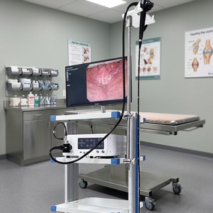 OSCAT EX-59 Ensemble d'hystéroscope électrique en acrylique réutilisable, équipement vétérinaire pour la chirurgie canine, recommandé par les experts - Product Image 1