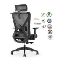 Chaise de bureau ergonomique à roulettes, nouveau, moderne, Oem, Pahs, livraison directe