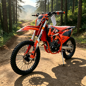 Meilleure Vente LZH K16-CB250-R <span class=keywords><strong>Moto</strong></span> Tout-Terrain <span class=keywords><strong>Enduro</strong></span> 250cc <span class=keywords><strong>4</strong></span> <span class=keywords><strong>Temps</strong></span> Refroidie par Air avec Amortisseur Réglable CNC Nouvelle <span class=keywords><strong>Moto</strong></span> Professionnelle - Product Image 4