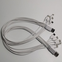 Kabel Data Tipe-C Satu-ke-Lima 5-in-1 Kabel Pengisi Daya 50cm Kabel Power Bank Portabel-Tersedia untuk Grosir