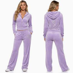 Custom <strong>Women's</strong> Velvet <strong>Longline</strong> <strong>Zip</strong> Up <strong>Hoodie</strong> Rhinestone Full Length Sweatpants Two Piece Set Streetwear Tracksuit OEM Wholesale - Product Image 3