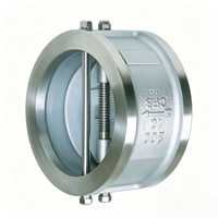 Vanne de contrôle d'eau à double disque en acier inoxydable, à fermeture lente, type Wafer, PN16, OEM 2-8 pouces