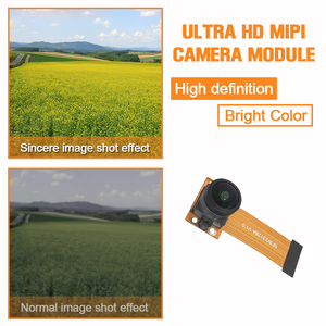 Module de caméra IoT pour maison intelligente, 2MP MIPI OV2312 CMOS, obturateur global, mini caméra fisheye FPC avec stockage cloud pour le secteur médical - Product Image 5