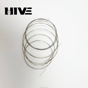 <span class=keywords><strong>Cuerdas</strong></span> de <span class=keywords><strong>banjo</strong></span> de suministro directo-<span class=keywords><strong>Cuerdas</strong></span> de afinación niqueladas de alambre de acero de alta calidad de <span class=keywords><strong>5</strong></span> <span class=keywords><strong>cuerdas</strong></span> para banjos-Empaquetado individualmente - Product Image 6