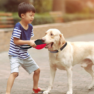 Juguete de Masticación de Algodón Multicolor para Entrenamiento de Perros, Palo de Fútbol para Morder, para Pastores Alemanes, Interactivo - Product Image 4