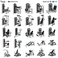 Solution clé en main pour salle de sport : Machine à extensions dorsales à charge fixe, fabricant chinois pour propriétaires de salles de CrossFit en Europe