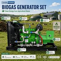 Generador de Gas Natural de 50kW 62.5kVA, Biogás, GLP, GNC, Combustible Dual, Trifásico, Silencioso, con Motor Cummins o Weichai Opcional y ATS