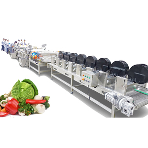 bibo Automatic Tomato and Pepper Processing Line with Washing Sorting and Packing - Product Image 1