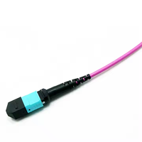 12F OM4 3.0mm LSZH MTP connecteur rapide câble de coffre SC cordon de raccordement MTP multimode pour équipement à fibre optique utilisé dans le réseau 4G