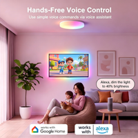 Bande lumineuse LED intelligente RGB USB 5V, avec contrôle par application Tuya Alexa Google, Wi-Fi Bluetooth pour TV, scooter, décoration de bureau, maison